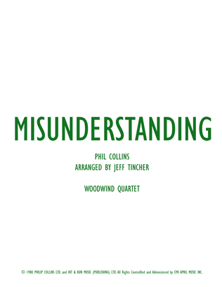 Book cover for Misunderstanding