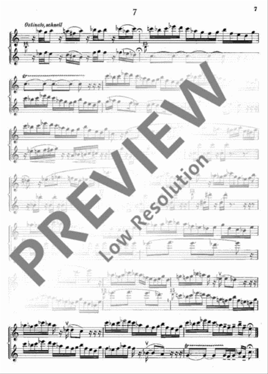 Reihe kleiner Duette Alto Recorder scores gallery preview page 12