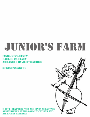 Book cover for Junior's Farm