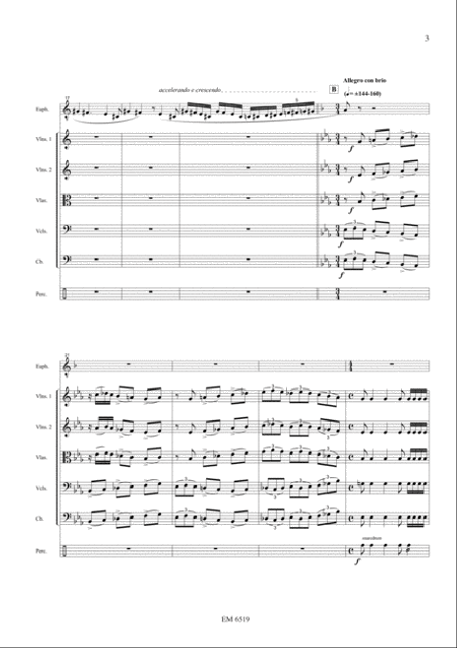 Fantasy for Solo Euphonium and String Orchestra String Orchestra scores gallery preview page 4
