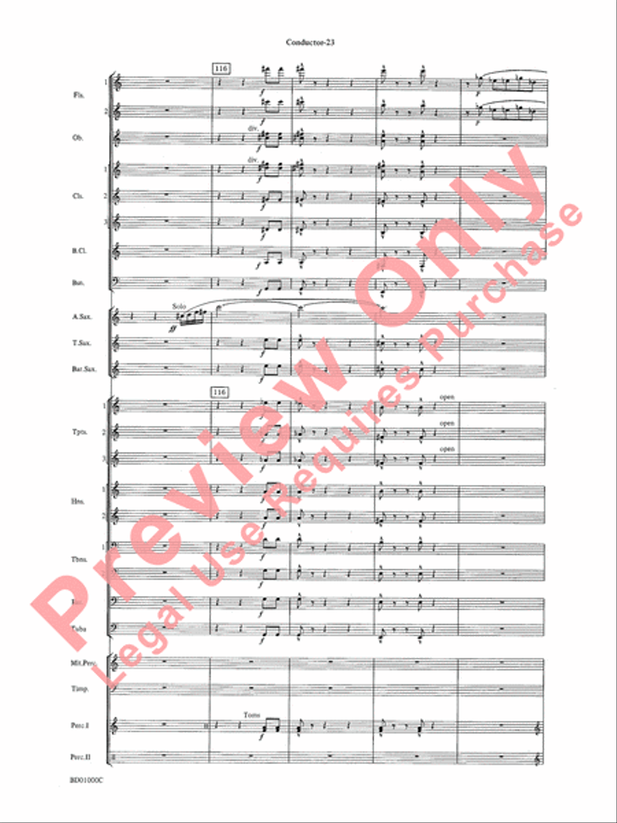 Chant Rituals Chant Rituals Concert Band scores gallery preview page 26