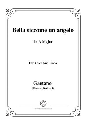 Donizetti-Bella siccome un angelo in A Major, for Voice and Piano