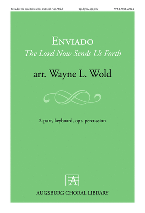 Book cover for Enviado