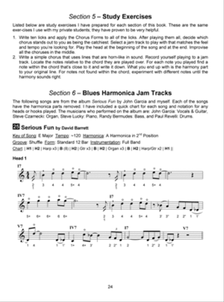 Blues Harmonica Jam Tracks & Soloing Concepts #3 Harmonica scores gallery preview page 4