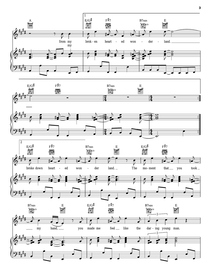 Broke Down Hearted Wonderland (from The Last Song) Acoustic Guitar scores gallery preview page 3