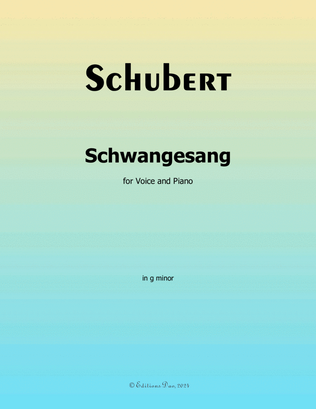 Book cover for Schwangesang, by Schubert, in g minor