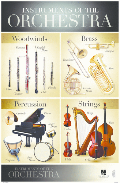 Instruments of the Orchestra - 22'' x 34'' Poster