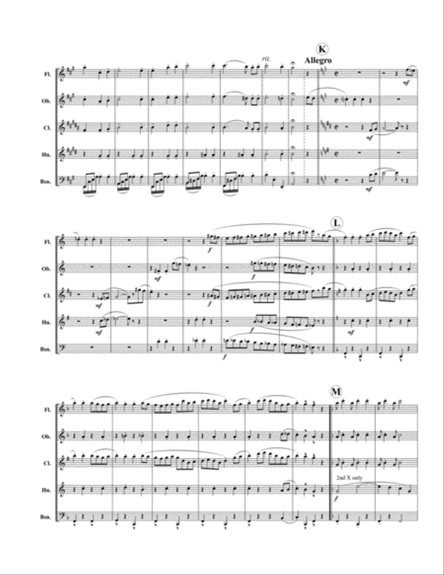 Turkey in the Straw Woodwind Quintet scores gallery preview page 6
