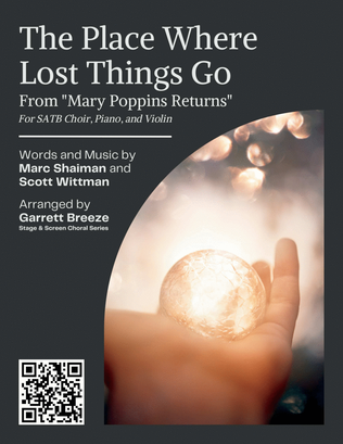 Book cover for The Place Where Lost Things Go