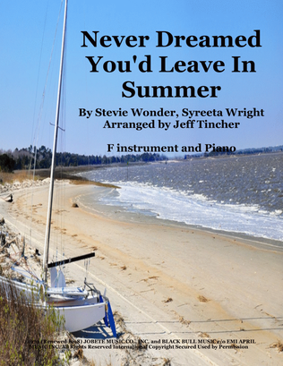 Book cover for Never Dreamed You'd Leave In Summer