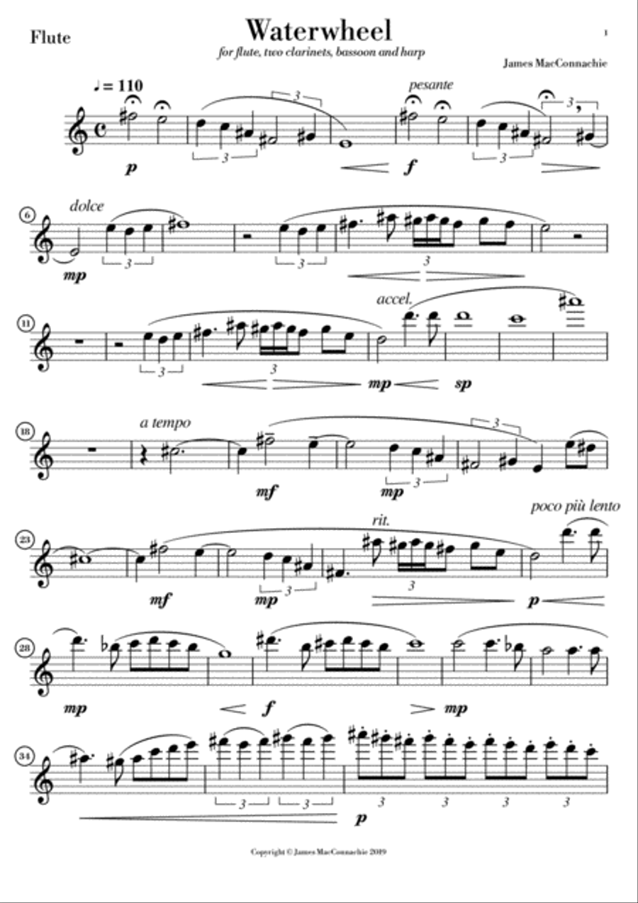 Waterwheel - Parts for Woodwind and Harp Woodwind Quartet scores gallery preview page 2