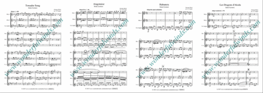 Carmen Suite Woodwind Trio scores gallery preview page 2