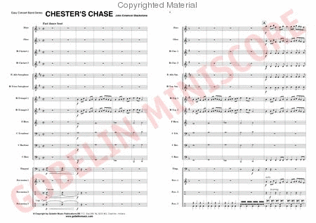 Chester's Chase image number null