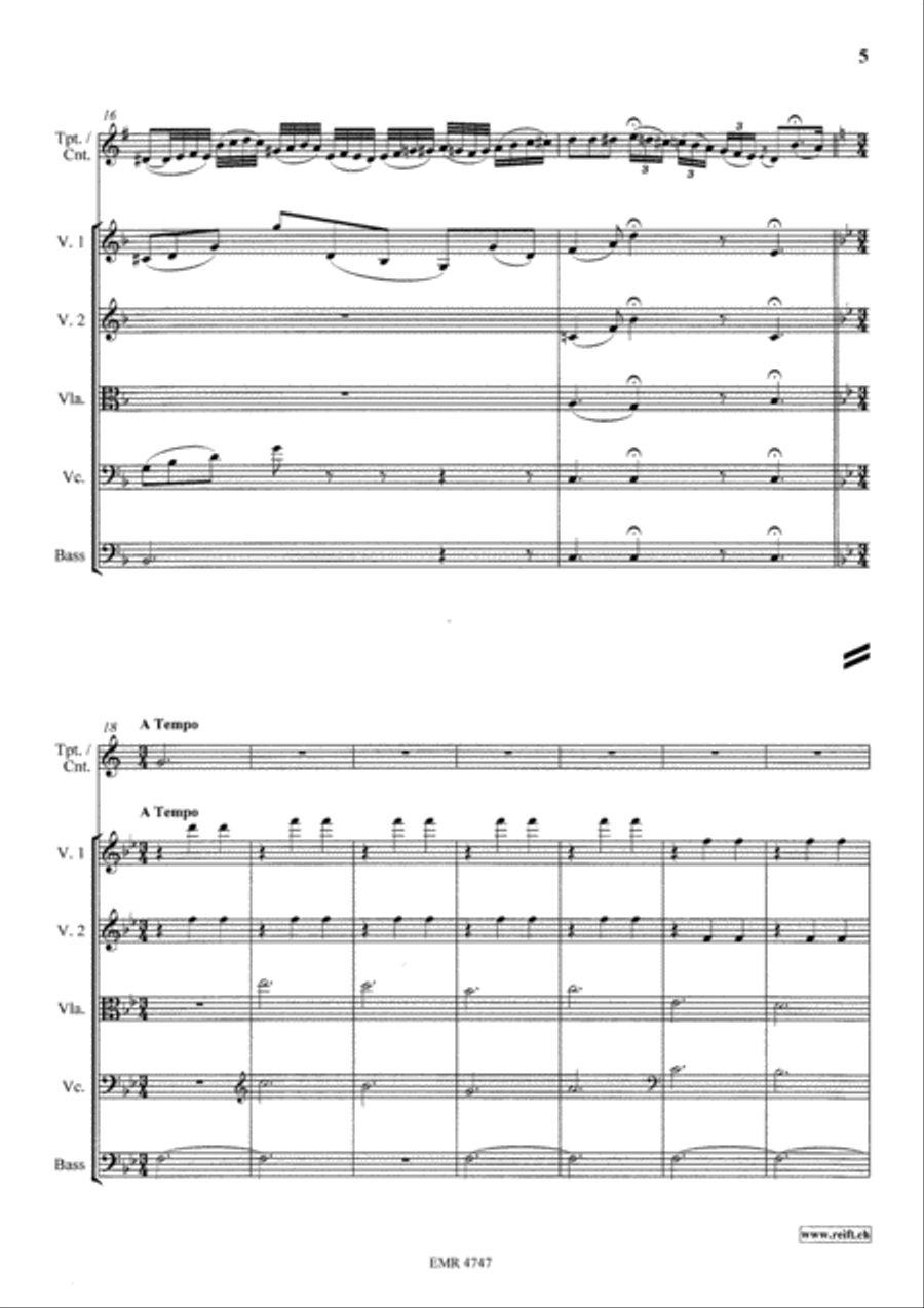 Variations On The Tyrolienne String Orchestra scores gallery preview page 5