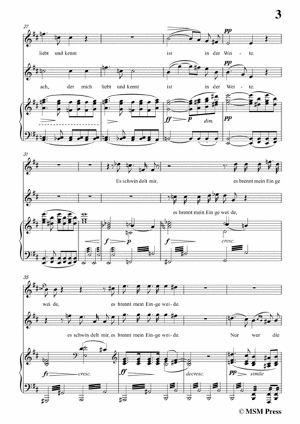 Schubert-Mignon und der Harfner (duet),in b minor,for Voice&Piano image number null