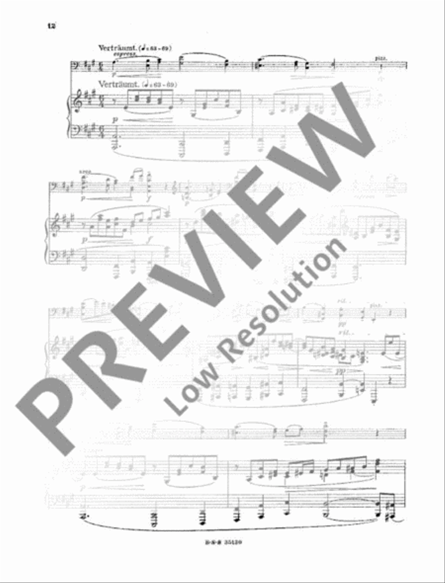 Ein Sommermärchen Cello Solo scores gallery preview page 13