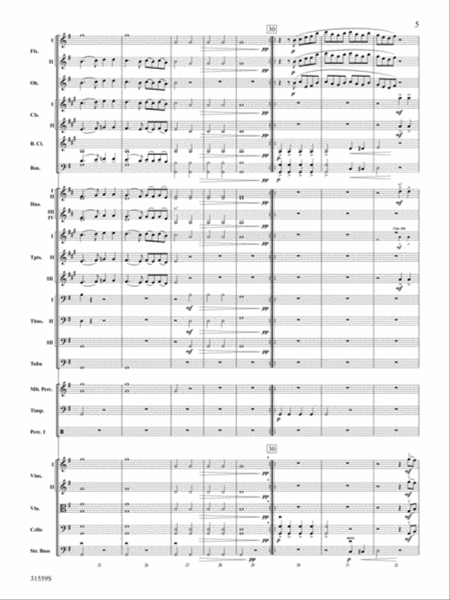 Variations on a Theme by Haydn: Score Full Orchestra scores gallery preview page 5