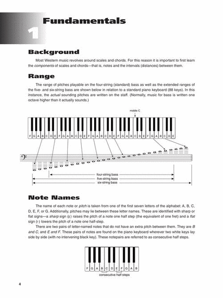 Bass Fretboard Basics