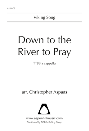 Book cover for Down to the River