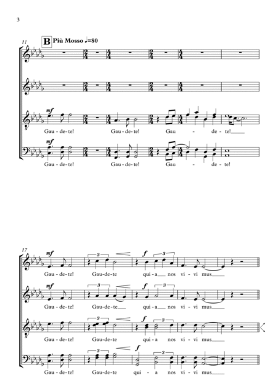 Cantus Saecularis Cantus Saecularis 4-Part scores gallery preview page 4