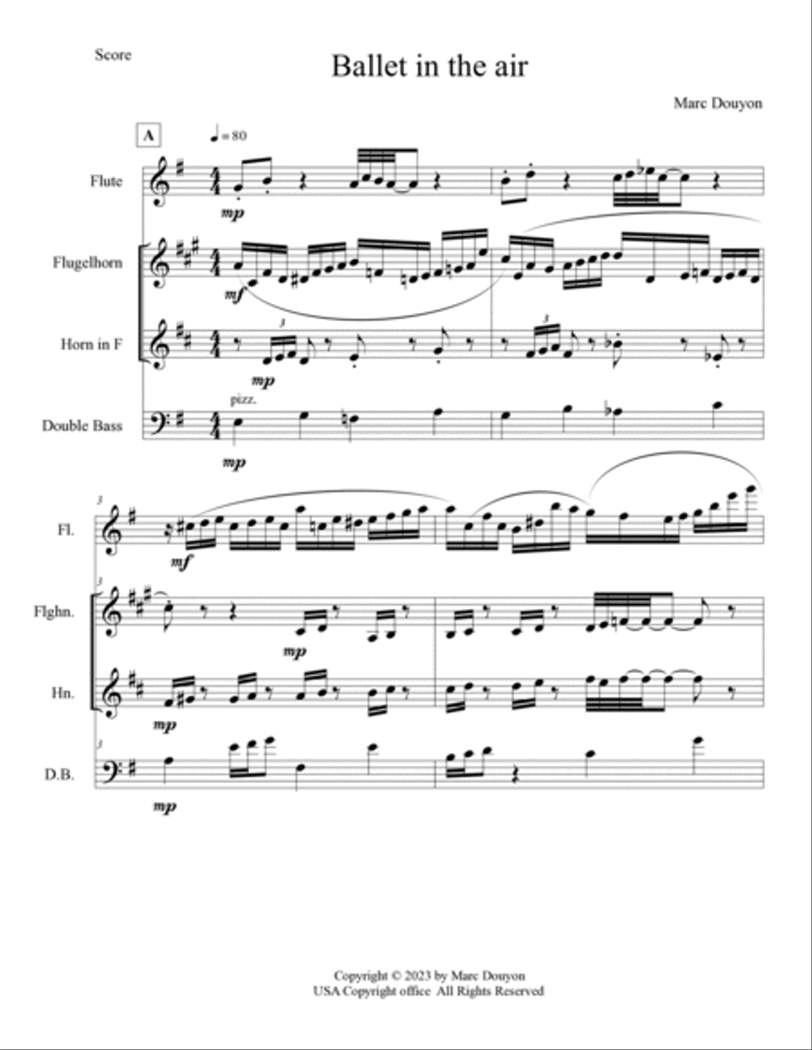 Ballet in the air Chamber Music scores gallery preview page 4