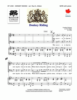 Book cover for Donkey Riding
