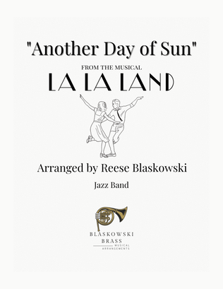 Book cover for Another Day Of Sun