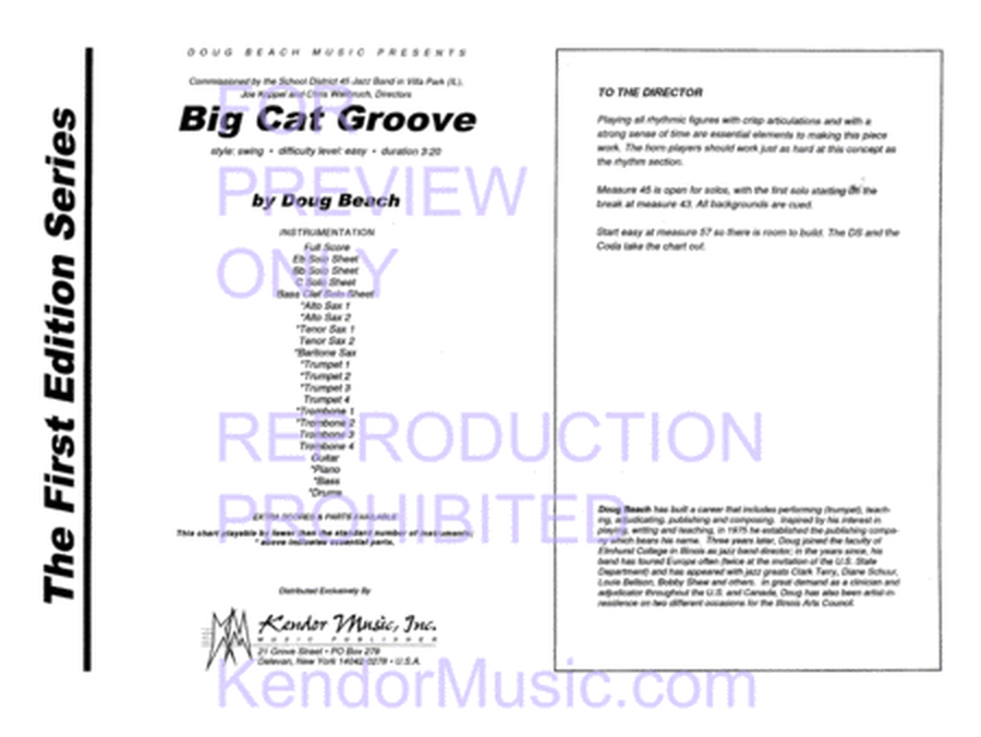Big Cat Groove image number null