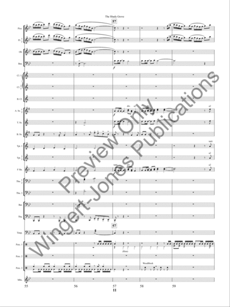 The Shady Grove The Shady Grove Concert Band scores gallery preview page 14