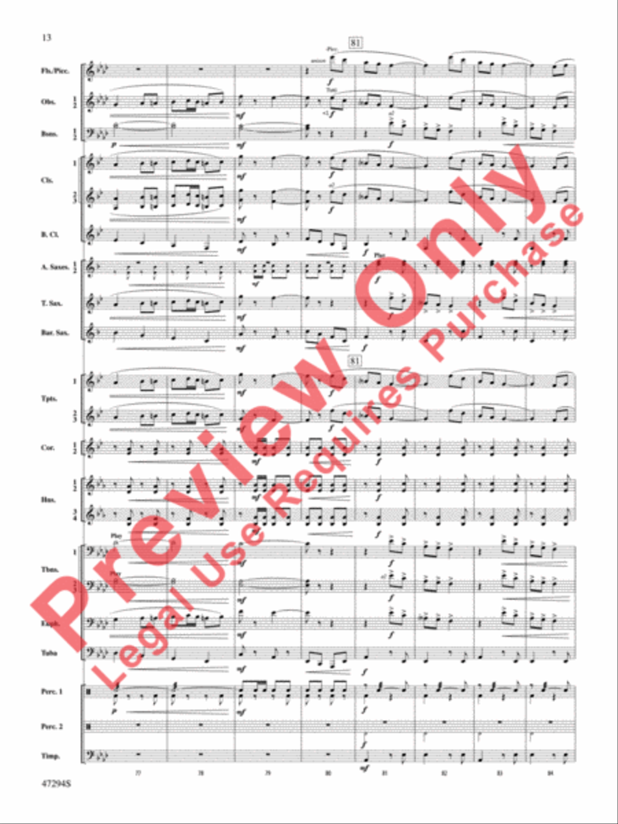 Scossa Elettrica Concert Band scores gallery preview page 14