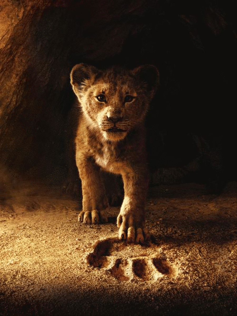 The Lion King Piano, Vocal, Guitar scores gallery preview page 5