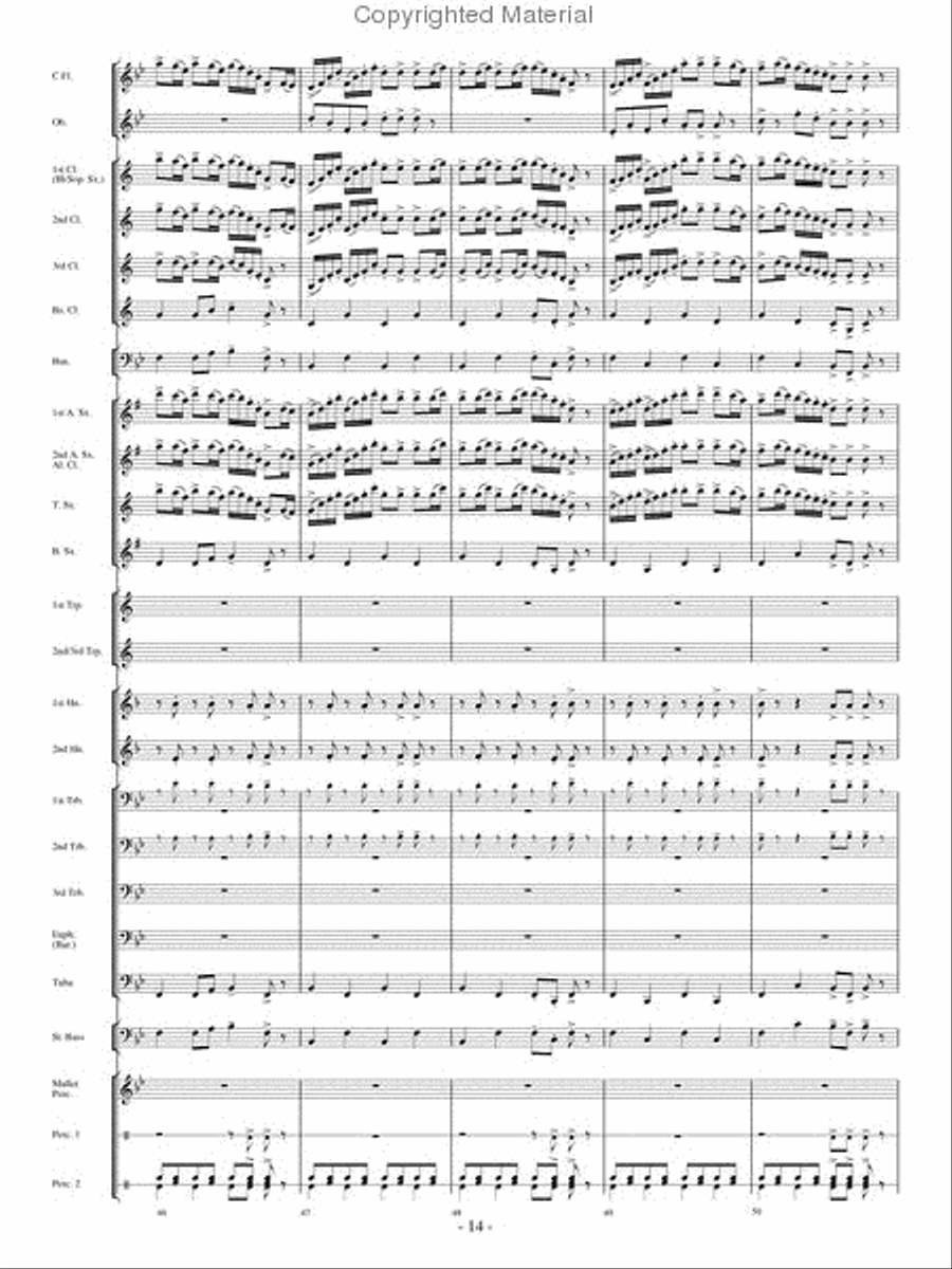 The Woodwind Polka Concert Band scores gallery preview page 13