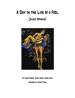 Book cover for A Day In The Life Of A Fool