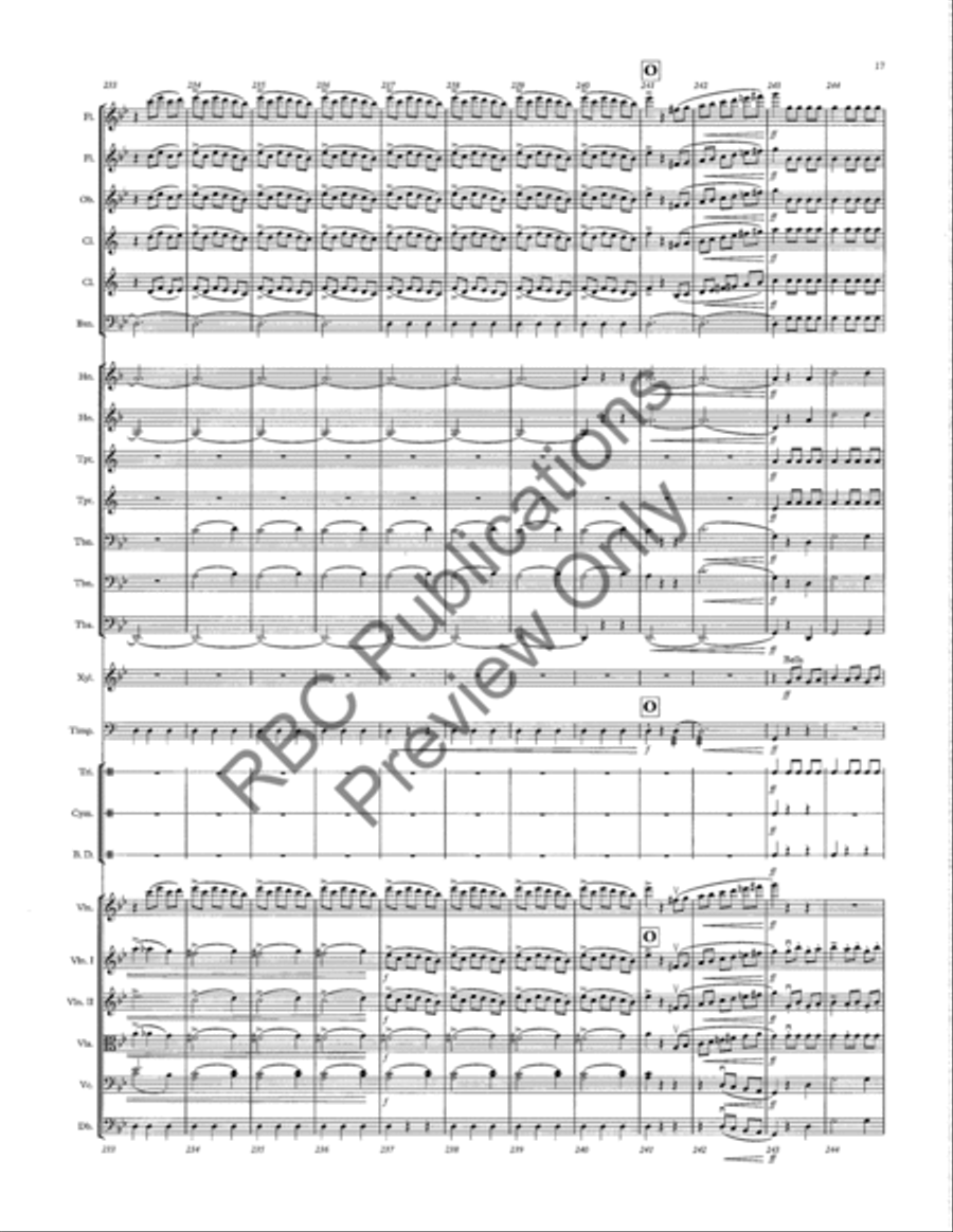 Danse Macabre Danse Macabre Full Orchestra scores gallery preview page 20