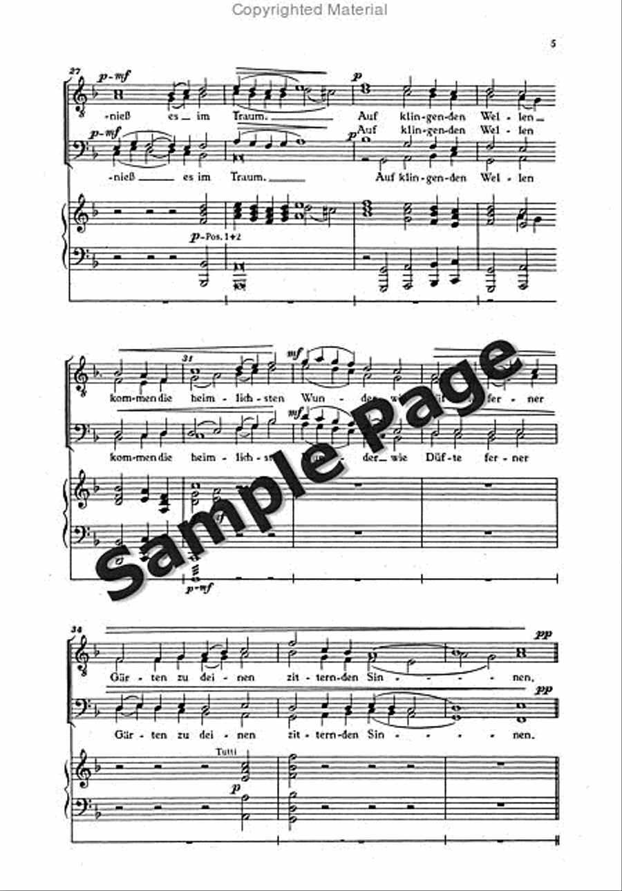 Wittmer El Festliche Hymne Men's Choir scores gallery preview page 5