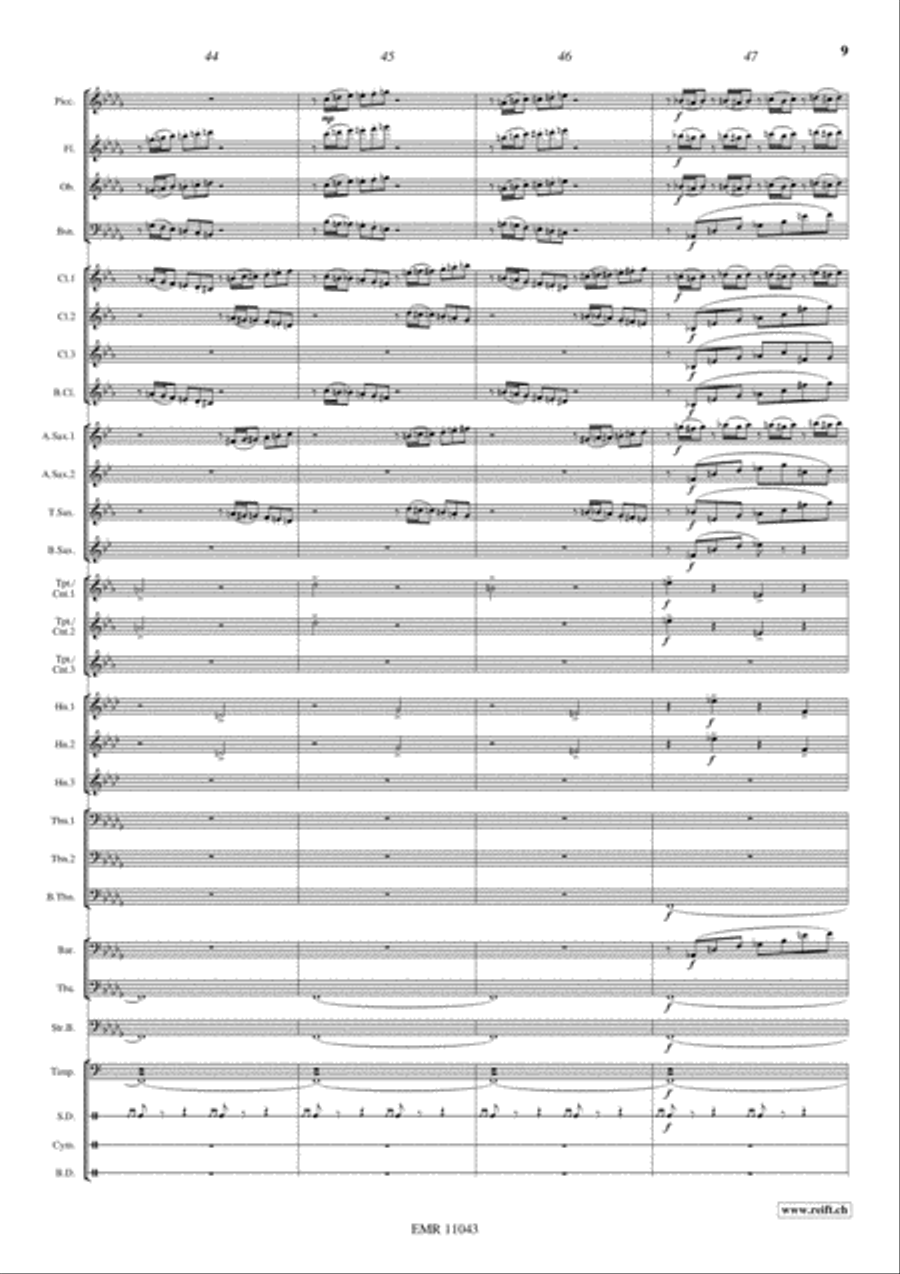 Marche Slave Concert Band scores gallery preview page 10