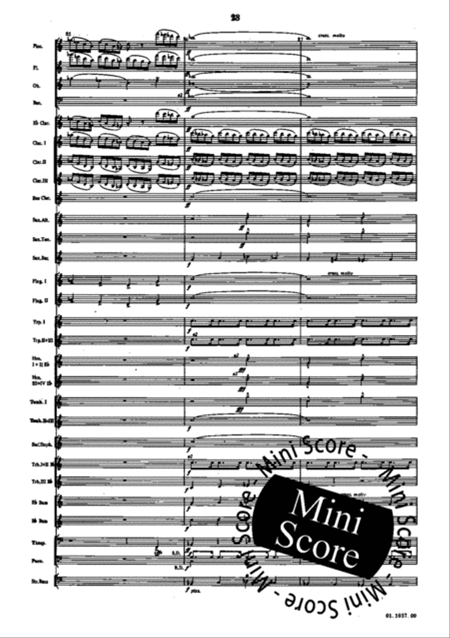 Evocazioni Evocazioni Concert Band scores gallery preview page 27