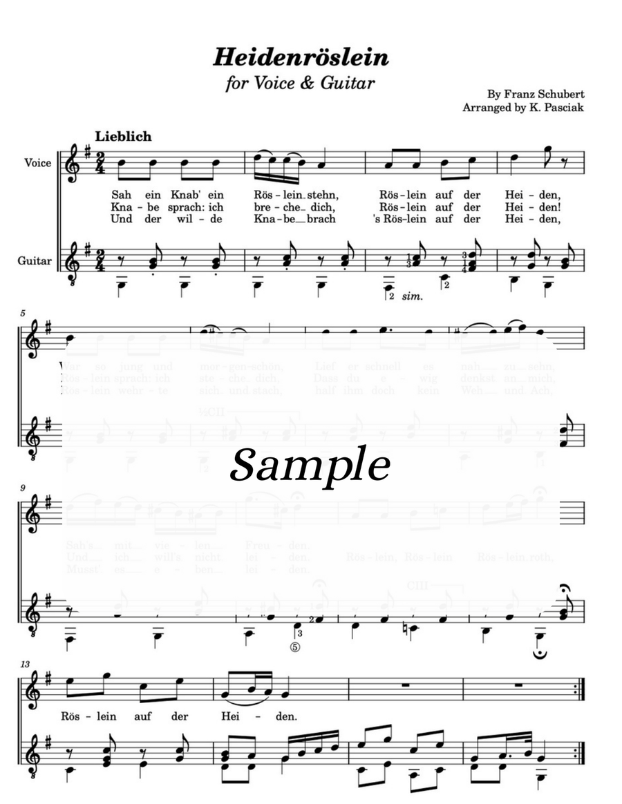 Heidenröslein (for Voice & Guitar) Acoustic Guitar scores gallery preview page 1