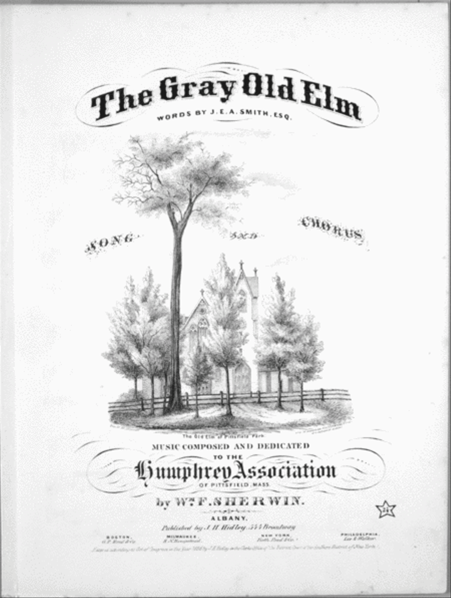 The Gray Old Elm. Song and Chorus Choir scores gallery preview page 1