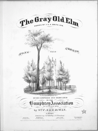 The Gray Old Elm. Song and Chorus