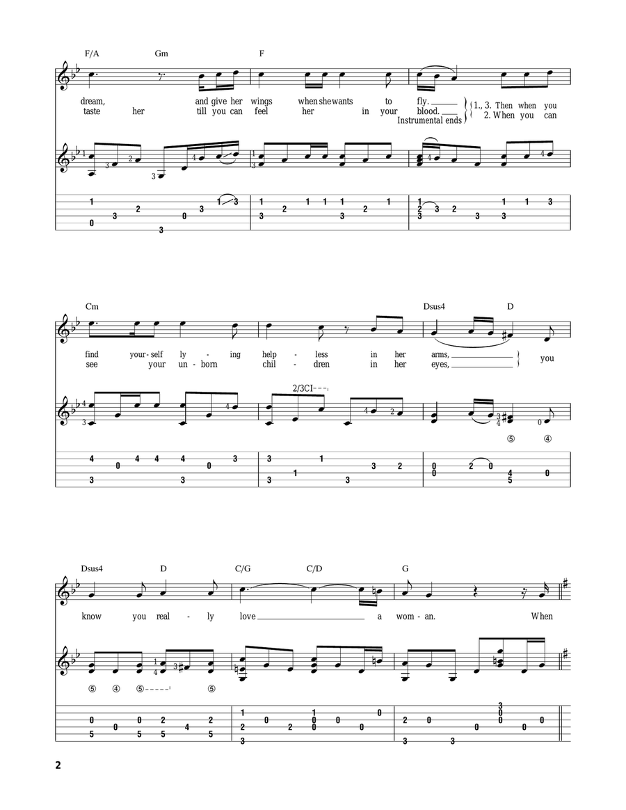 Have You Ever Really Loved A Woman? Acoustic Guitar scores gallery preview page 2