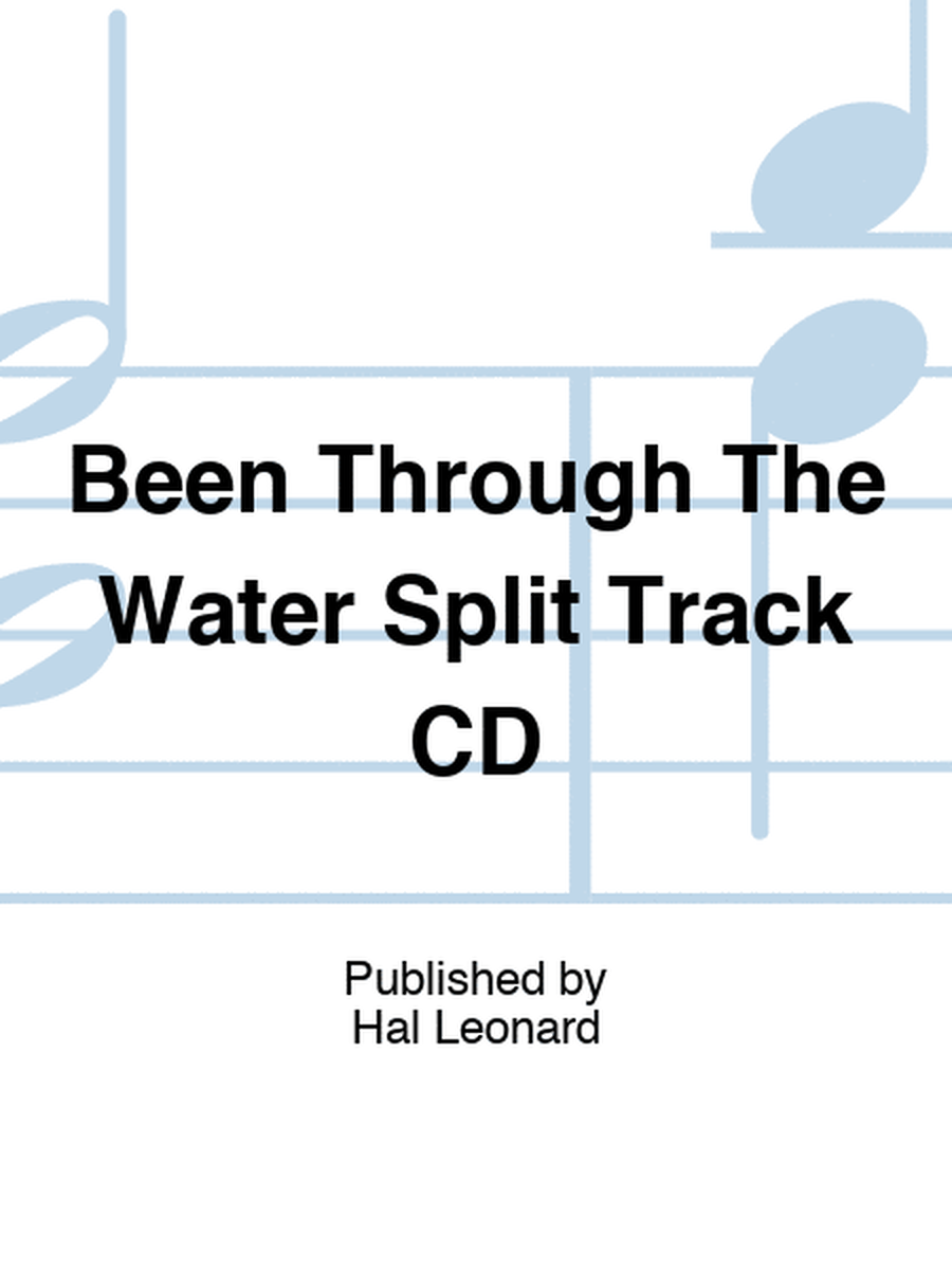 Been Through The Water Split Track CD