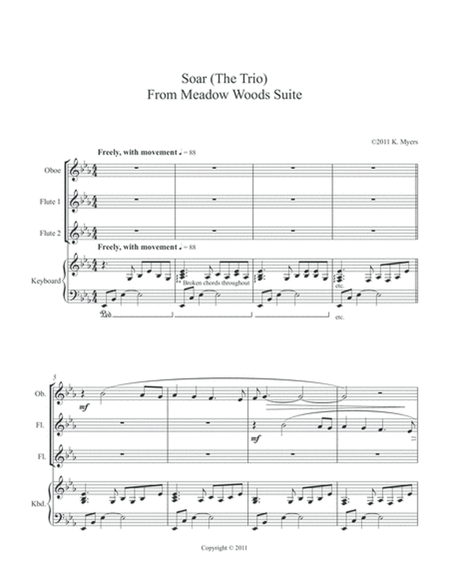 Soar (Trio): Melody of the Birds image number null