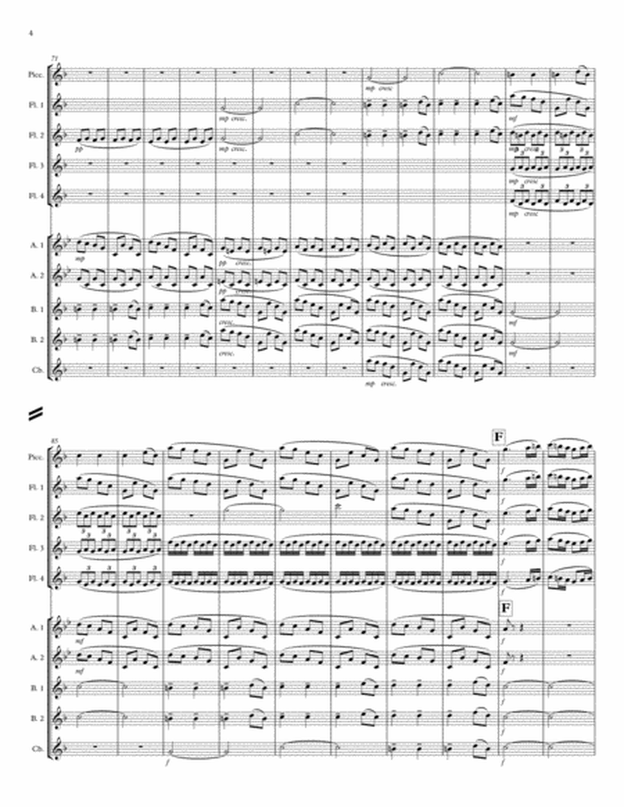Symphony No. 6 "Pastorale" Mvt 1 for Flute Choir image number null