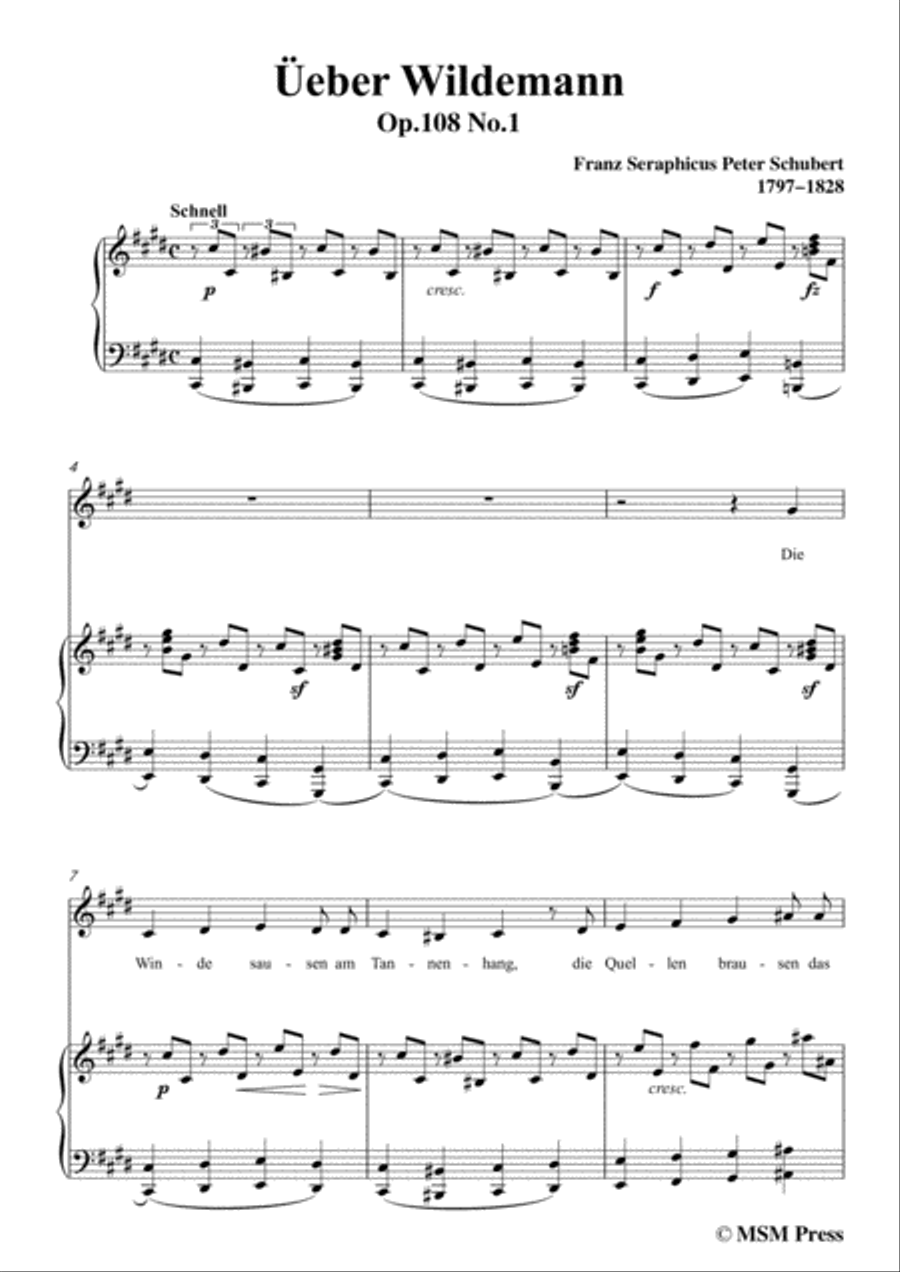 Schubert-Über Wildemann,in c sharp minor,Op.108 No.1,for Voice and Piano Voice Solo scores gallery preview page 3