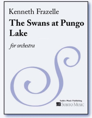 The Swans at Pungo Lake
