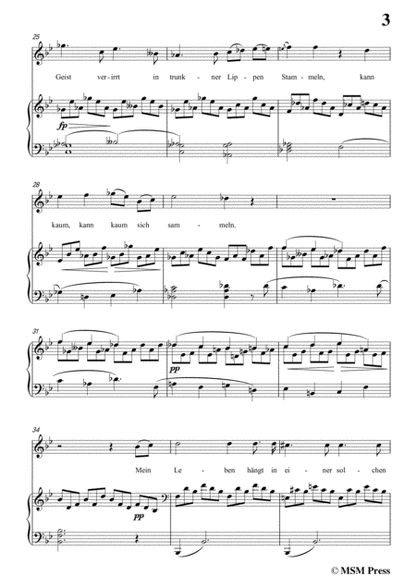 Schubert-Heimliches Lieben,Op.106 No.1,in B flat Major,for Voice&Piano image number null