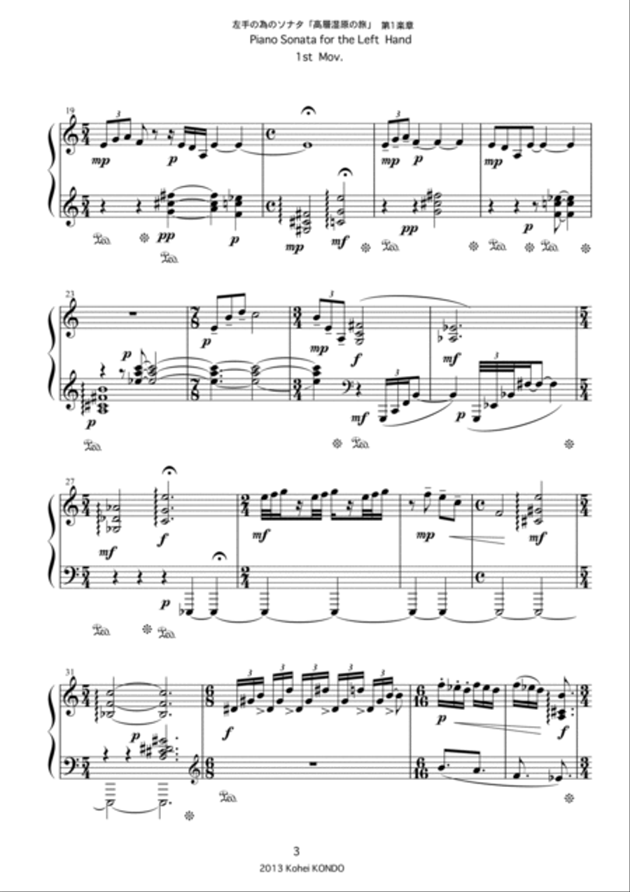 Piano Sonata for the Left Hand 