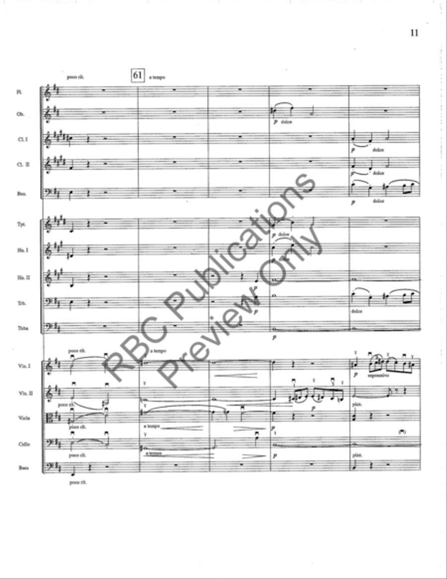 Siegfried Idyll Full Orchestra scores gallery preview page 12