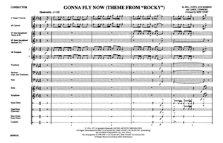 Gonna Fly Now (Theme from Rocky): Score